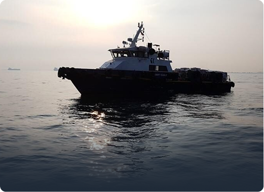 Sea Transportation